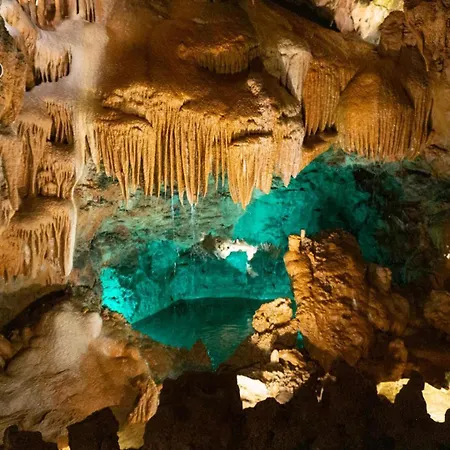 Casa Andorinhas - - Nazare Alcobaca Gasthof