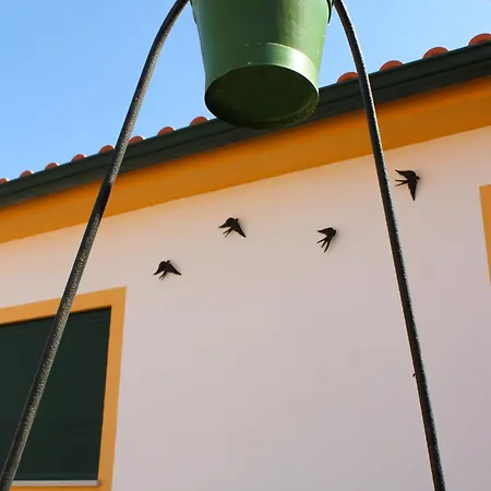 Casa Andorinhas - - Nazare Alcobaca 4* Coz