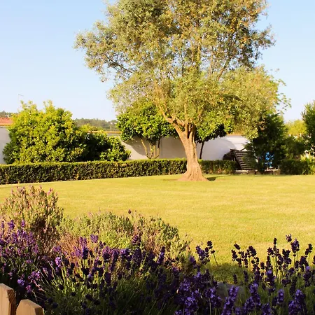 Casa Andorinhas - - Nazare Alcobaca Coz