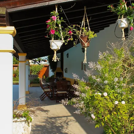 Casa Andorinhas - - Nazare Alcobaca 4* Coz