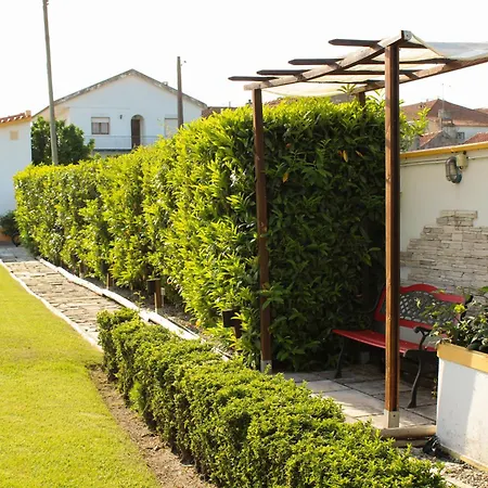 Casa Andorinhas - - Nazare Alcobaca Gasthof 4*