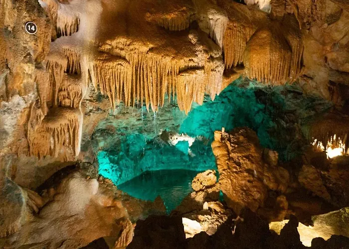 Casa Andorinhas - - Nazare Alcobaca Vendégház