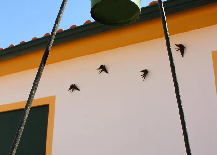 Casa Andorinhas - - Nazare Alcobaca 4* Coz