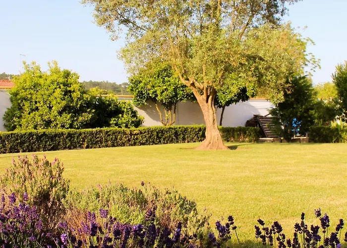 Casa Andorinhas - - Nazare Alcobaca Coz