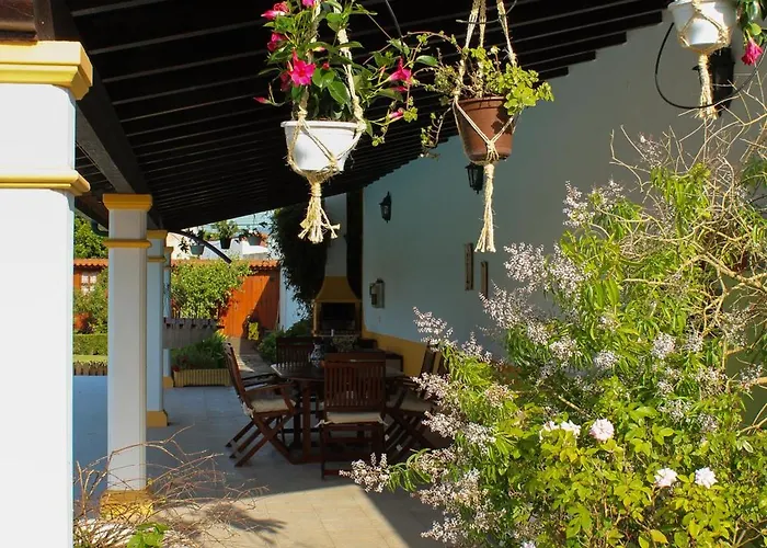 Casa Andorinhas - - Nazare Alcobaca 4* Coz